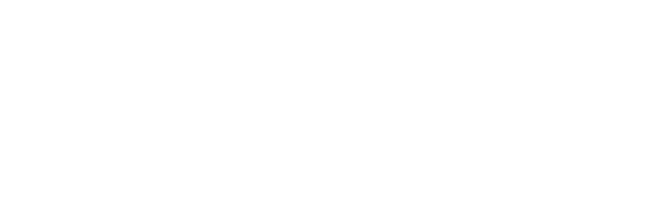 Mesterslagteren i Saltum